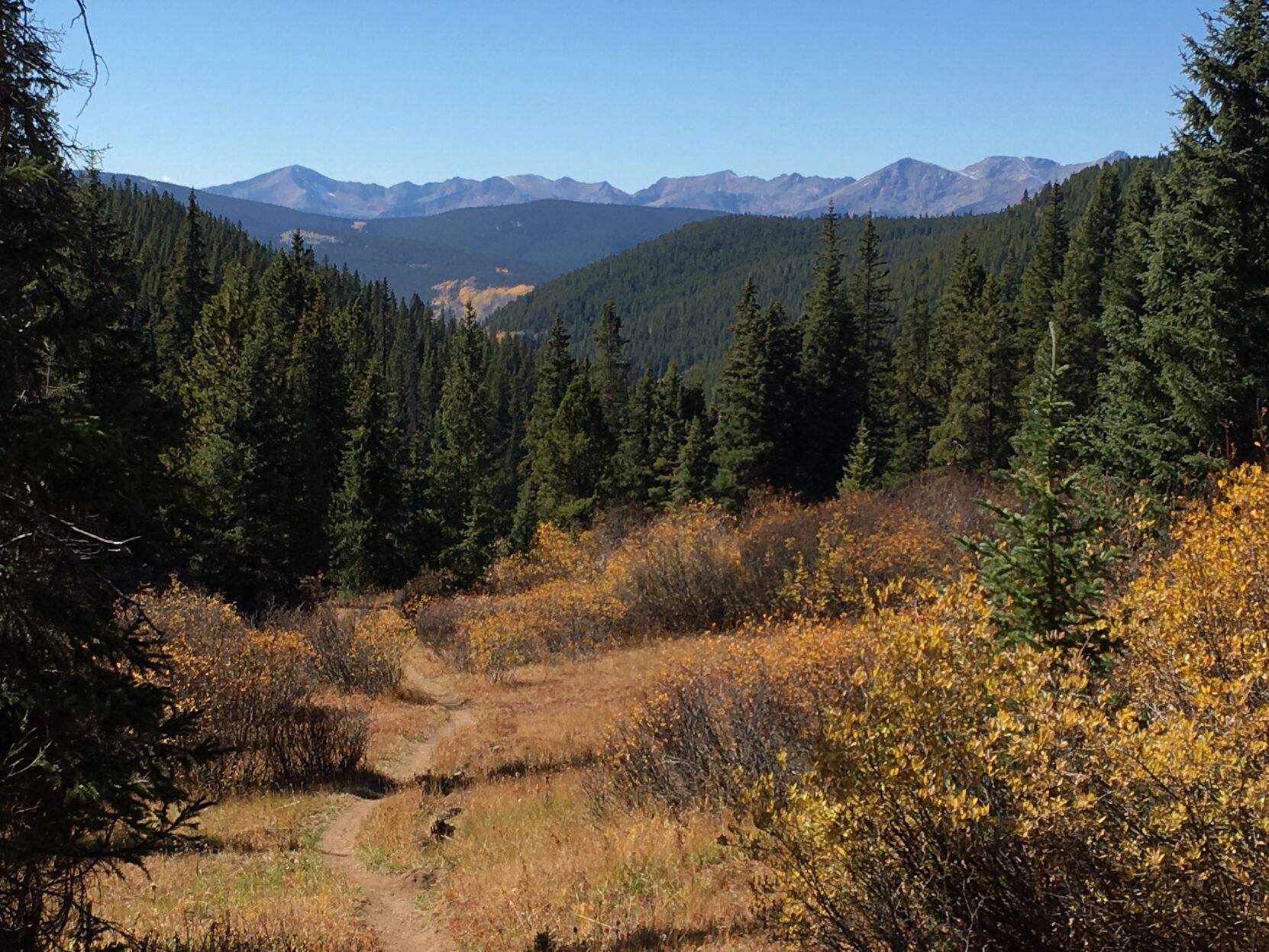 Cataract Creek drainage 5.JPG